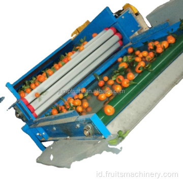 Mesin penyortiran sekrup buah yang dirancang dengan conveyor
